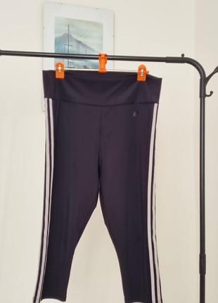 Спортивні штани adidas
