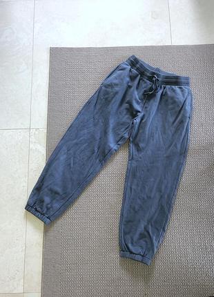 Чоловічі утеплені спортивні штани начос утеплённые спортивные штаны начёс на резинке на резинці