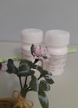 Конюшина брошка 3