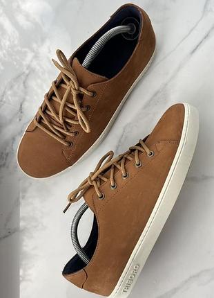 Кросівки tribord