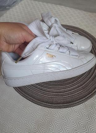 Жіночі кеди puma basket з широкими шнурками 41р.