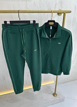 Мужской костюм lacoste
