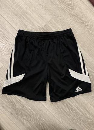 Спортивні шорти