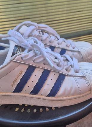 Кросівки adidas superstar
