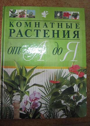 Комнатные растения от а до я.
