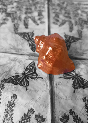 Сувенір морська мушля натуральна