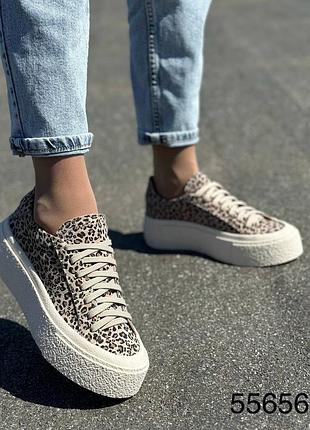 Замшевые леопардовые кеды на высокой подошве