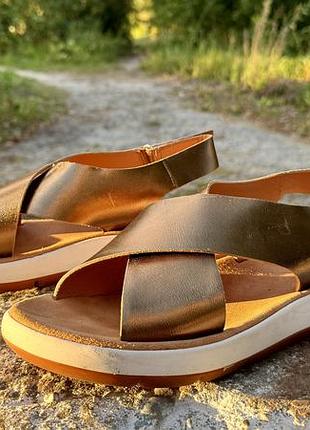 Жіночі шкіряні босоніжки, сандалі clarks