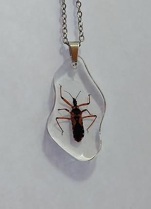 Кулон клоп, кулон из эпоксидной смолы с настоящим хищным клопом