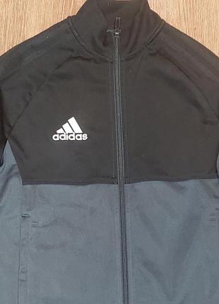 Кофта adidas 152