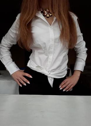 Котонова базова сорочка