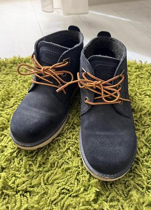 Черевики, ботінки