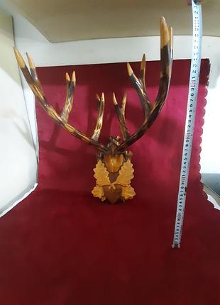 Настенные декоративные рога ссср.