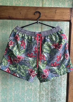 Пляжні шорти zoggs