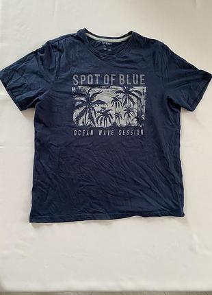 Чоловіча футболка