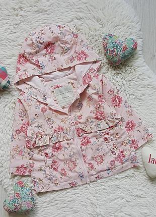 Вітровка 3-6 міс дівчина