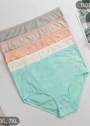 Жіночі бавовняні труси сліпи nicoletta супербатал, комплект (5 шт.) розміри: 7xl