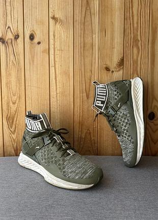 Спортивні кросівки кеди взуття puma ignite