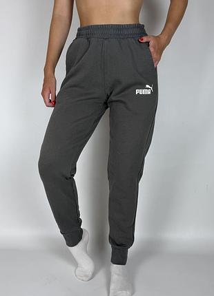 Спортивні штани puma