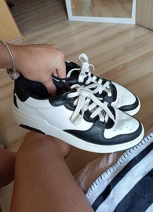 Кеди steve madden