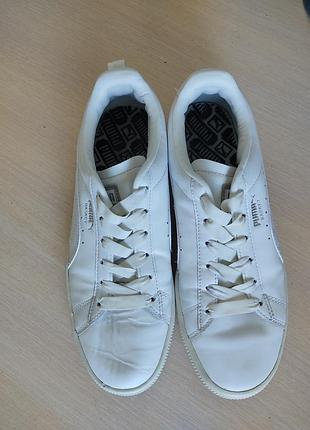 Кеды белые когтиные puma basket 39