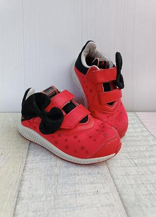 Кроссовки adidas минные маус на девочку размер 25 us 8k стелька 14,5-15 см