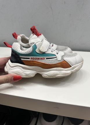 Кросівки apawwa