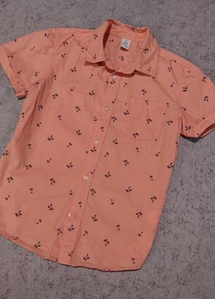 Стильная рубашка с пальмами.