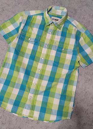 Яркая рубашка в клетку, на кнопках