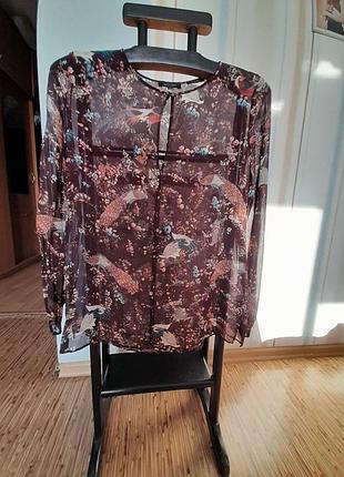 Шовкова блуза claudia strater