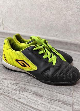 Сороконожки футзалки