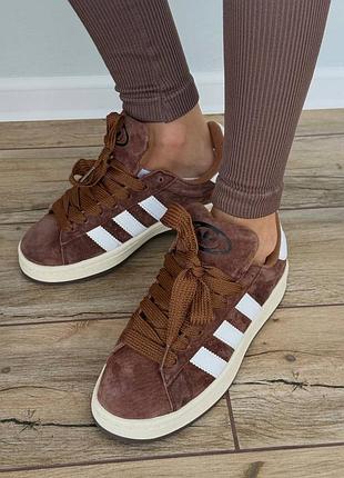 Кросівки campus brown