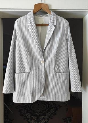 Піджак в полоску котоновий