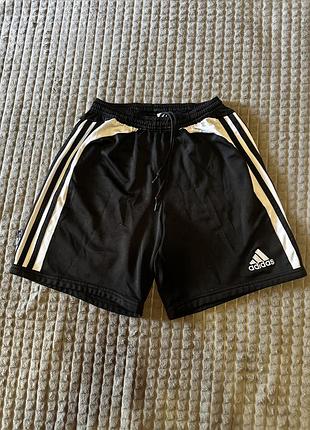 Спортивні шорти adidas