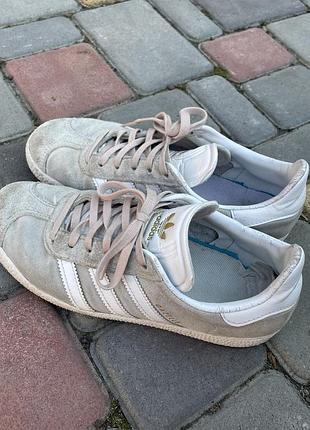 Кросівки adidas gazel