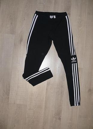 Лосіни adidas