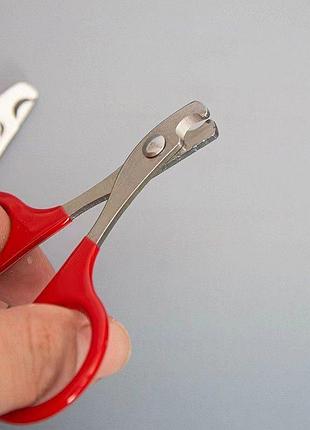 Когтерез кусачки ножницы для котов и собак