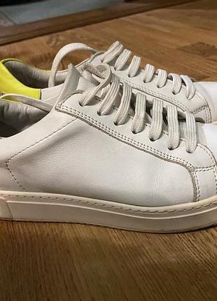 Кросівки кеди