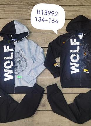 Спортивний костюм на хлопчиків, 134-164 років., grace.