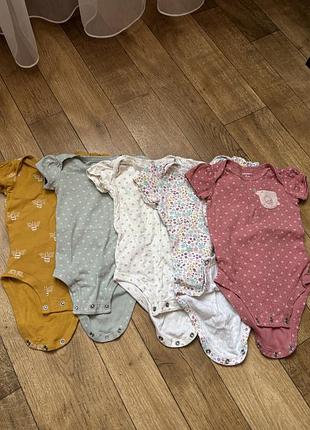 Набір з 5-ти боді