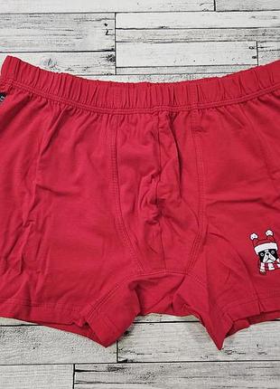 Комфортные шорты ellen