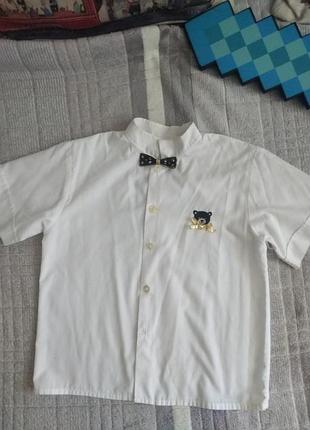 Белая нарядная рубашка