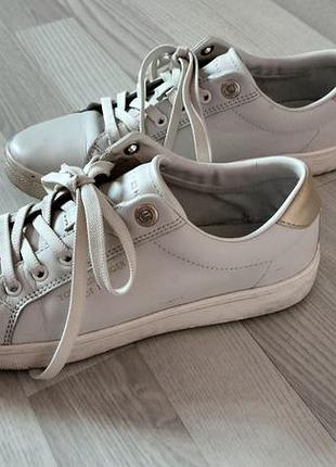 Кеды Tommy hilfiger кожаные в бежевом цвете оригинал