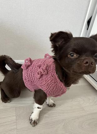 Жилетка для чудової маленької собачки,ручної роботи))