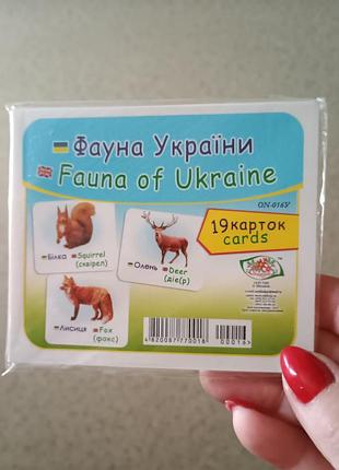 Набір карток, вивчення англійської