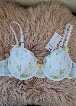 Бюстгальтер