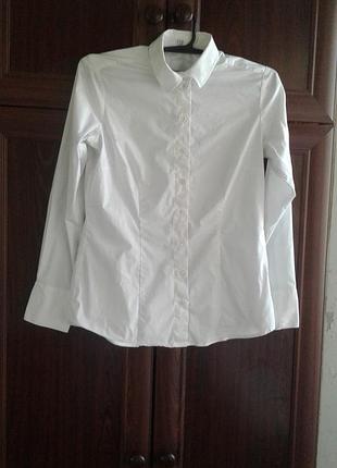 Білосніжна бавовняна шкільна стрейчева сорочка, блузка greiff