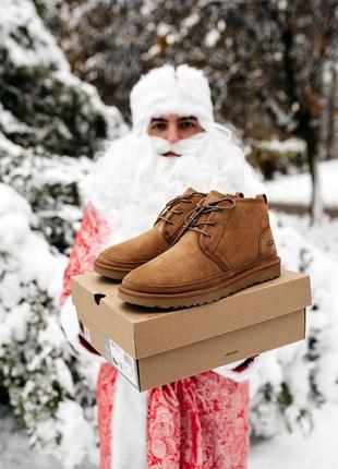 Черевики, уггі ugg neumel "chestnut"❄