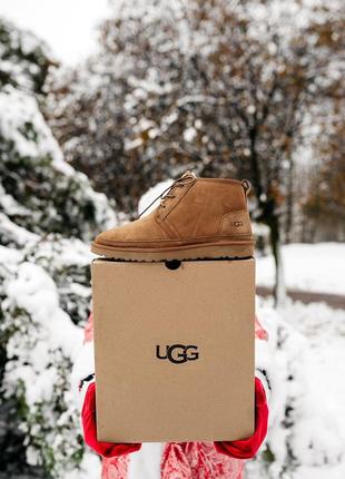 Ботинки, угги ugg neumel “chestnut”❄2 фото