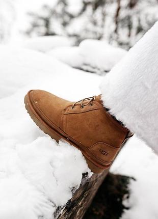 Ботинки, угги ugg neumel “chestnut”❄4 фото